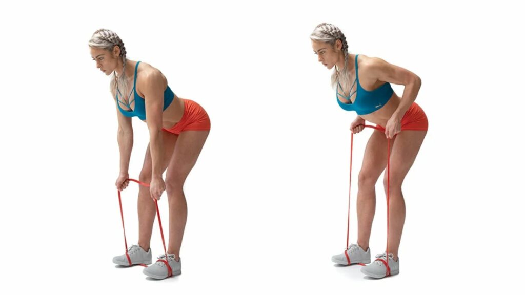 Bent Over Banded Row